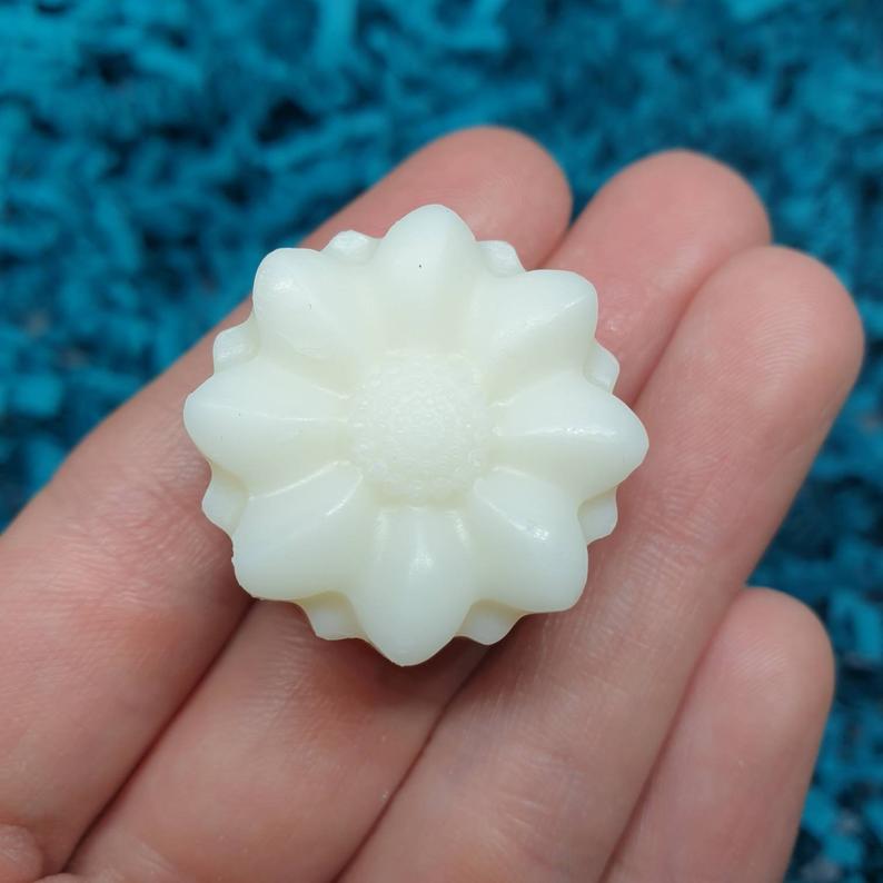 Summer Melon Spritzer Wax Melts